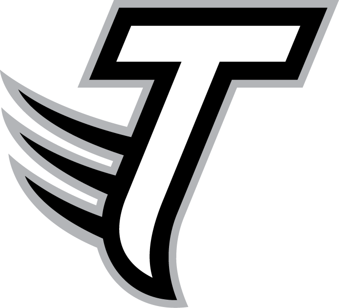 Towson Tigers 2004-Pres Alternate Logo v2 diy fabric transfers